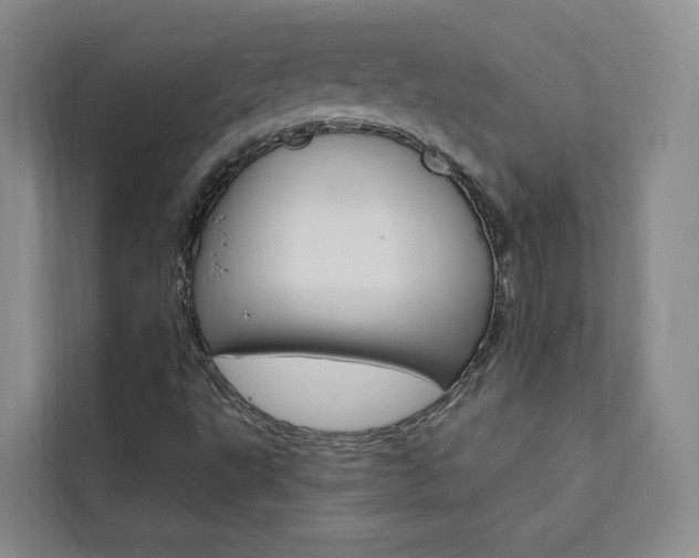 X0000111461495200907131207