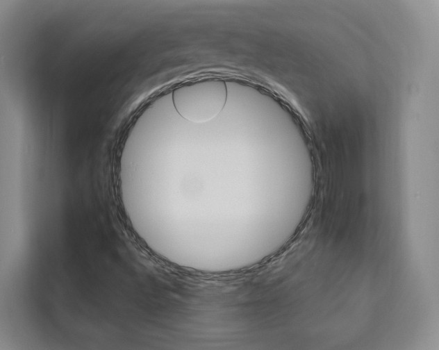 X0000111461496200907131207