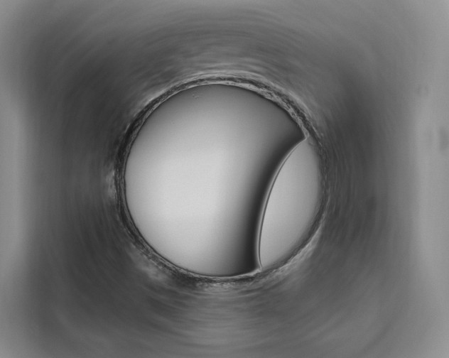 X0000111461497200907131207