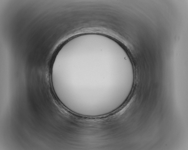 X0000111461498200907131207