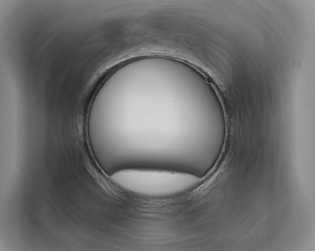 X0000111461499200907131207