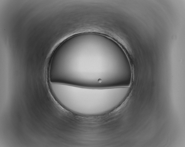 X0000111461500200907131207
