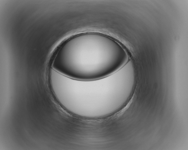 X0000111461502200907131207