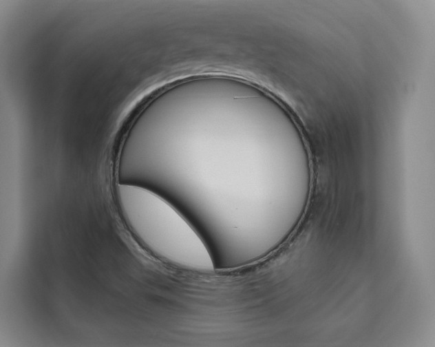 X0000111461503200907131208