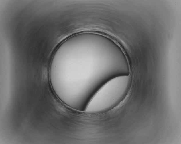 X0000111461505200907131208