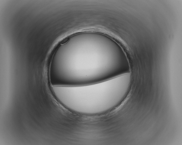 X0000111461506200907131208