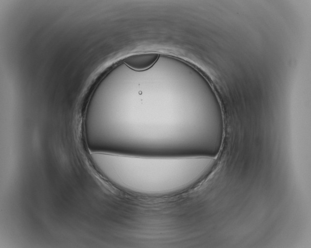 X0000111461507200907131208
