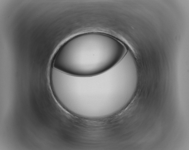 X0000111461508200907131208