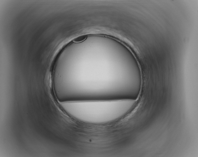 X0000111461509200907131208