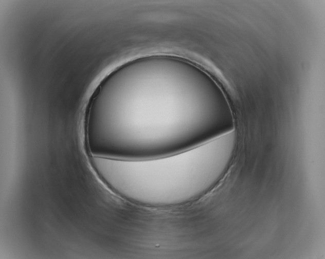 X0000111461512200907131208