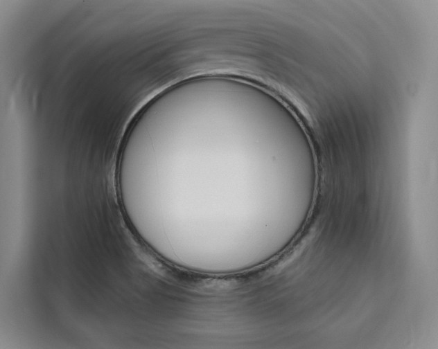 X0000111461513200907131208