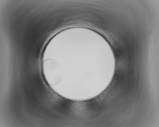 X0000111461514200907131208
