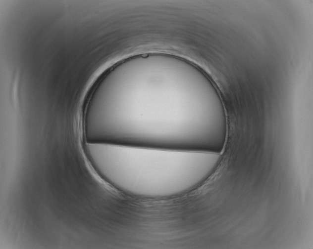 X0000111461515200907131208