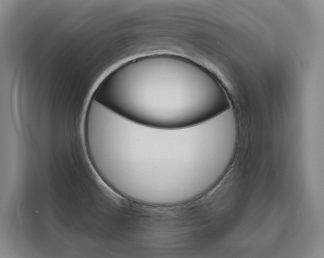 X0000111461516200907131208