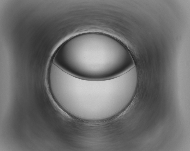 X0000111461518200907131208