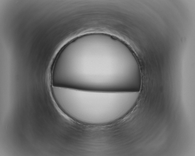 X0000111461519200907131208