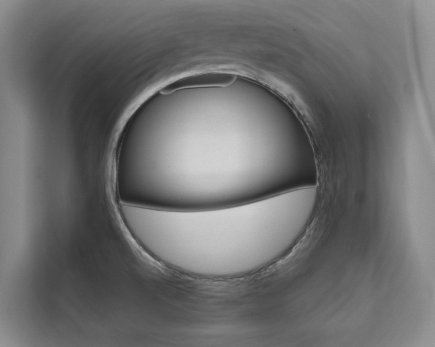 X0000111461520200907131208