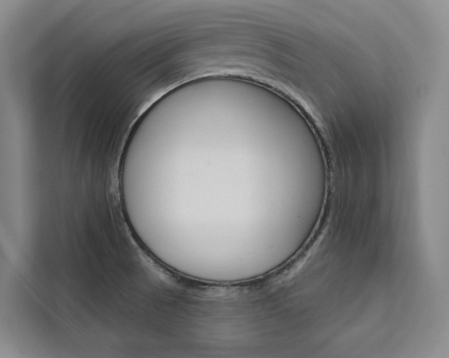 X0000111461521200907131208