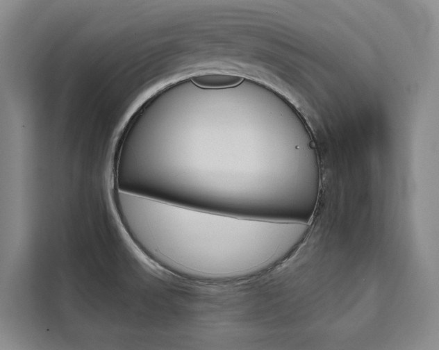 X0000111461523200907131208