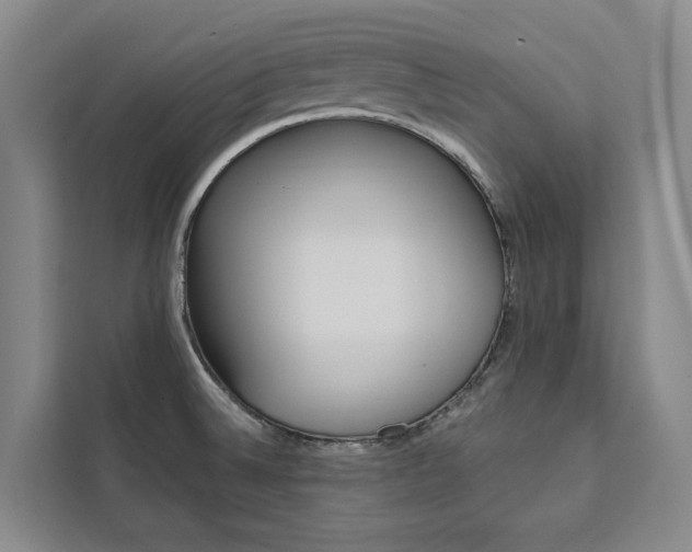 X0000111461524200907131208