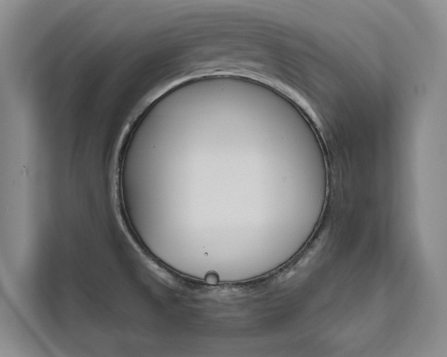 X0000111461525200907131208