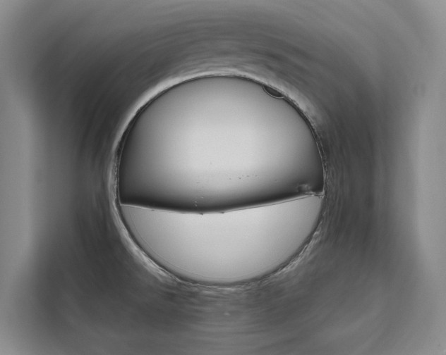 X0000111461526200907131208