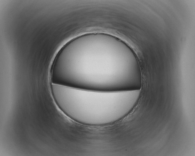 X0000111461527200907131208