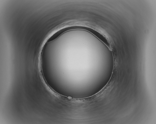 X0000111461528200907131208