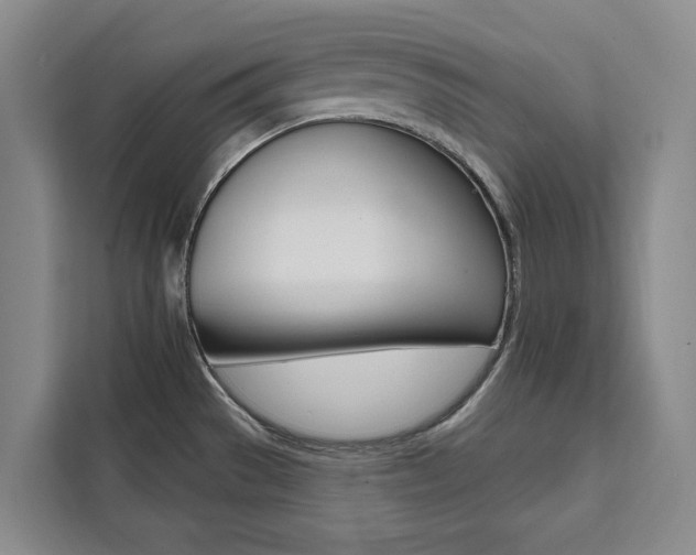 X0000111461529200907131208