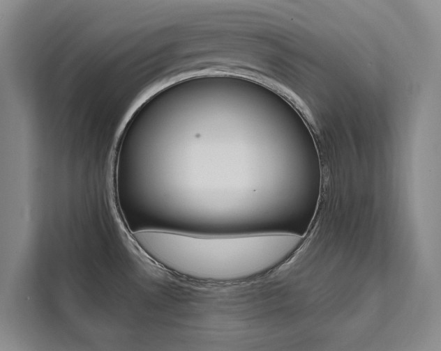 X0000111461530200907131208