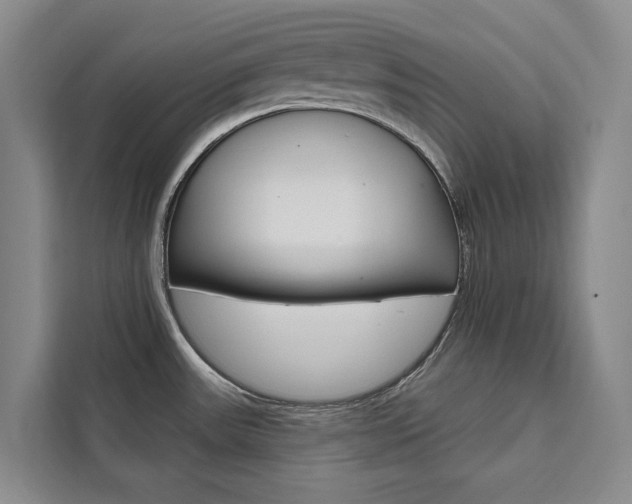 X0000111461531200907131208