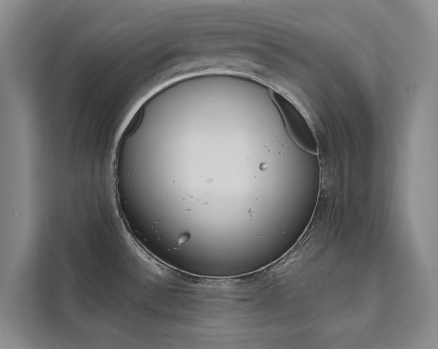 X0000111461532200907131208