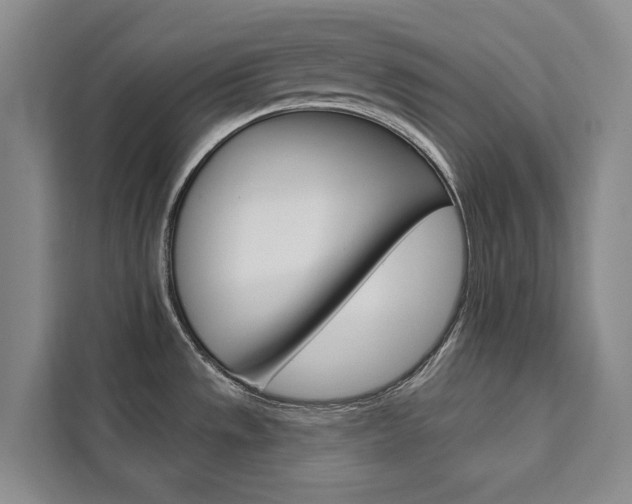 X0000111461533200907131208