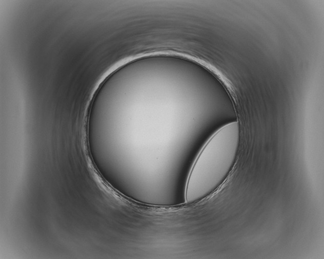 X0000111461534200907131208