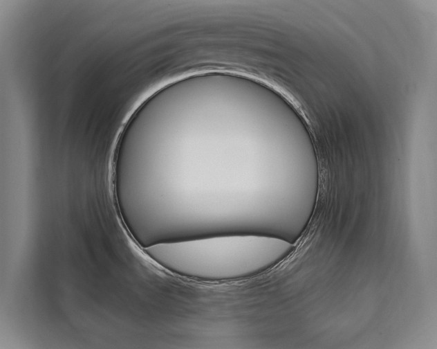 X0000111461535200907131208