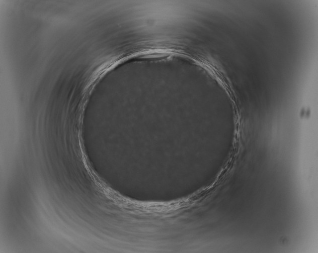 X0000111460001200907131506