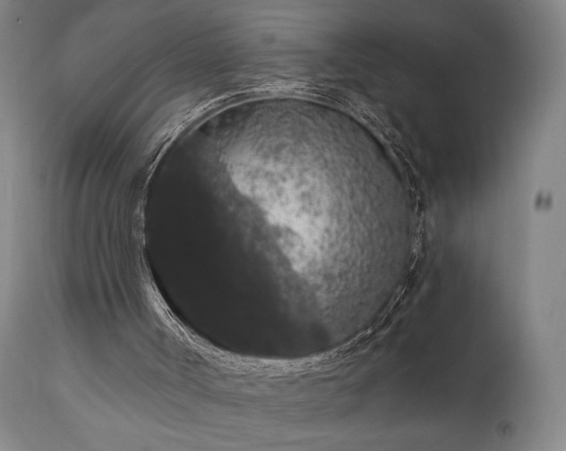 X0000111460002200907131506