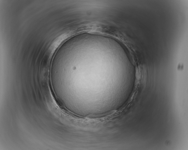 X0000111460003200907131506