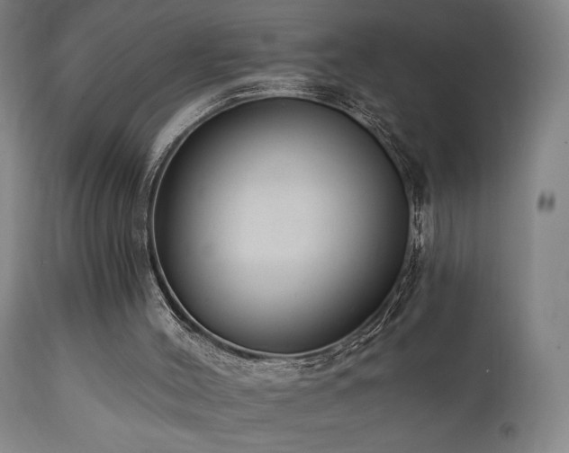 X0000111460004200907131506