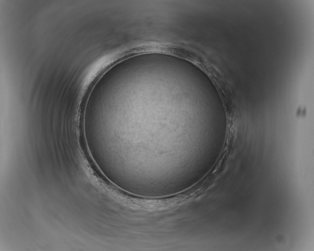 X0000111460006200907131506