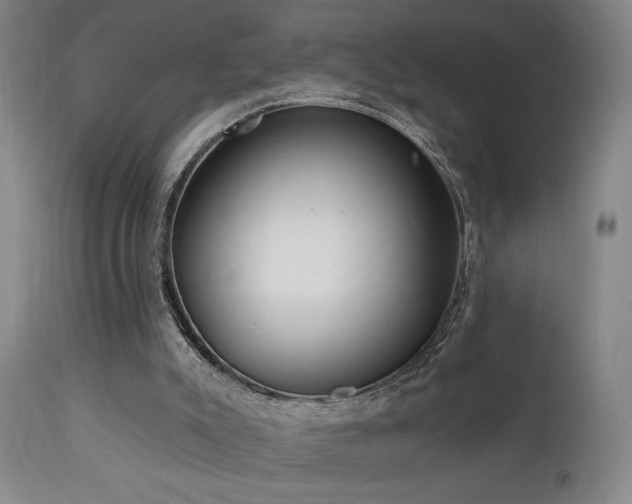 X0000111460007200907131506