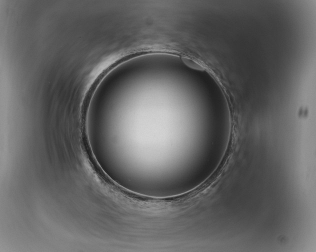 X0000111460008200907131506