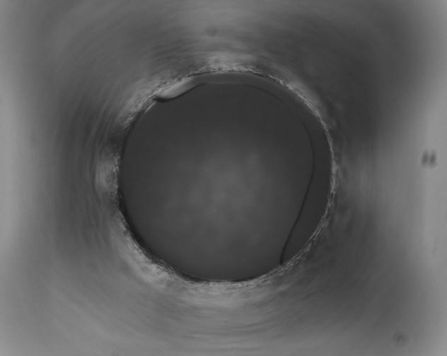 X0000111460009200907131506