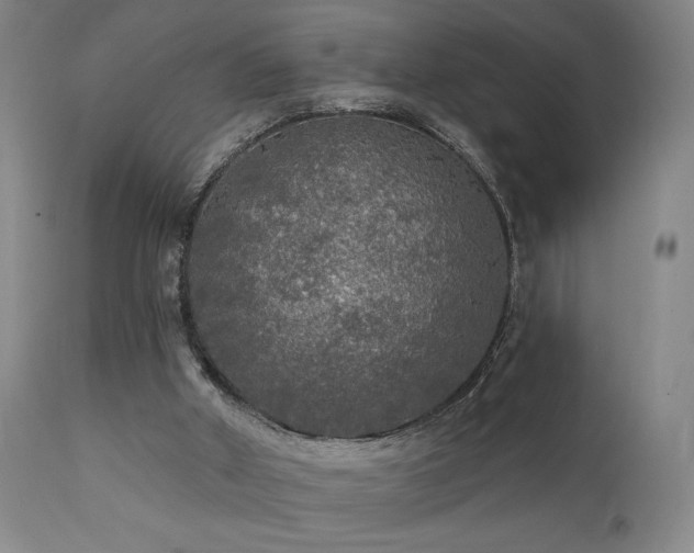 X0000111460010200907131506