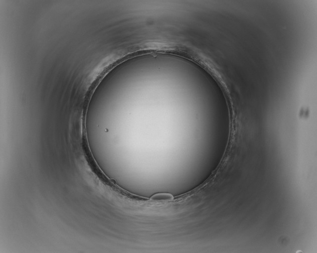 X0000111460011200907131506