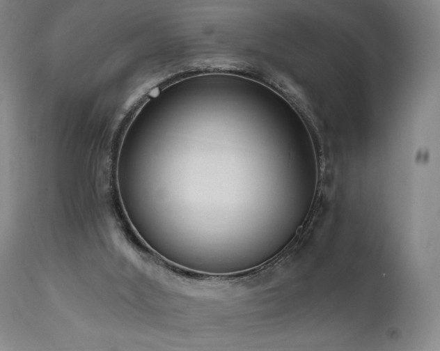 X0000111460012200907131506