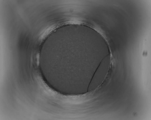 X0000111460013200907131506