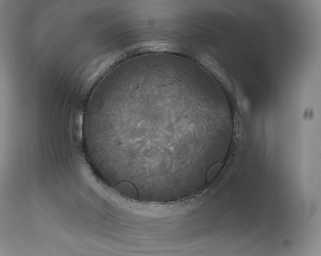 X0000111460014200907131506