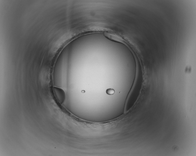 X0000111460015200907131506