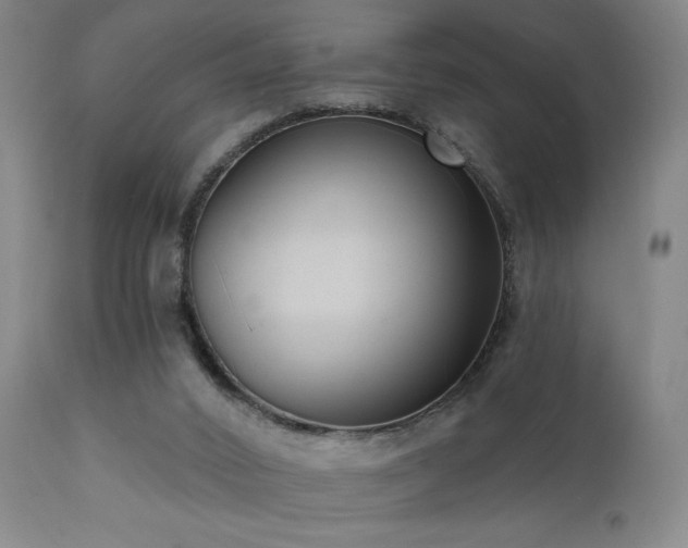 X0000111460016200907131506